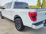 2023 F-150 Thumbnail 13