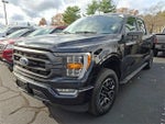 2023 F-150 Thumbnail 3