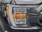 2023 F-150 Thumbnail 9