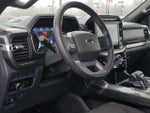 2023 F-150 Thumbnail 11