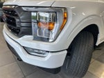 2023 F-150 Thumbnail 20