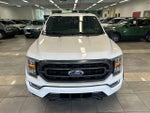 2023 F-150 Thumbnail 22