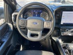 2023 F-150 Thumbnail 13