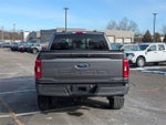 2023 F-150 Thumbnail 4