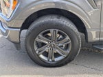 2023 F-150 Thumbnail 10