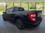 2023 F-150 Thumbnail 3