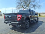 2023 F-150 Thumbnail 6