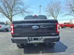 2023 F-150 Thumbnail 7