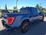 2023 F-150 Thumbnail 5