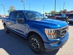 2023 F-150 Thumbnail 7