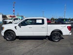 2023 F-150 Thumbnail 8