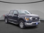 2023 F-150 Thumbnail 3