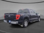 2023 F-150 Thumbnail 5