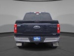 2023 F-150 Thumbnail 6