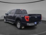 2023 F-150 Thumbnail 7
