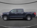 2023 F-150 Thumbnail 8