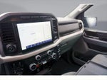 2023 F-150 Thumbnail 13