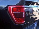 2023 F-150 Thumbnail 26