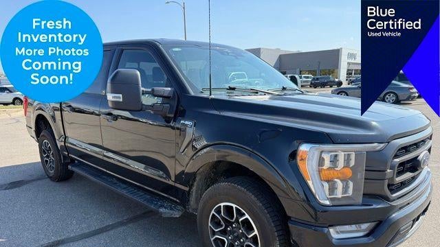 Preowned 2023 Ford F-150 XL for Sale