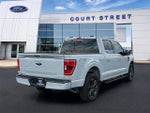2023 F-150 Thumbnail 5