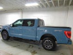 2023 F-150 Thumbnail 4