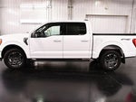 2023 F-150 Thumbnail 4