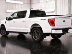 2023 F-150 Thumbnail 5