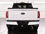 2023 F-150 Thumbnail 6