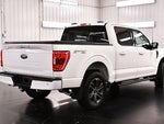 2023 F-150 Thumbnail 7