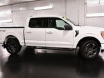 2023 F-150 Thumbnail 8