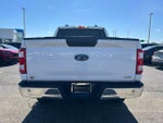 2023 F-150 Thumbnail 7