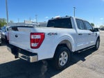 2023 F-150 Thumbnail 8