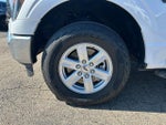 2023 F-150 Thumbnail 12