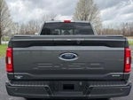 2023 F-150 Thumbnail 2