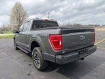 2023 F-150 Thumbnail 6