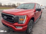 2023 F-150 Thumbnail 3