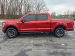 2023 F-150 Thumbnail 4