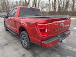 2023 F-150 Thumbnail 5