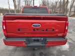 2023 F-150 Thumbnail 6