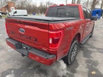 2023 F-150 Thumbnail 9