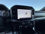 2023 F-150 Thumbnail 19