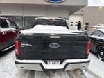2015 F-150 Thumbnail 9