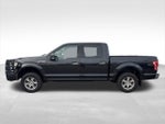 2015 F-150 Thumbnail 3
