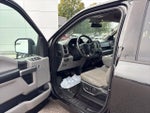2015 F-150 Thumbnail 10