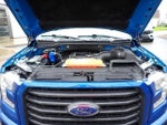 2017 F-150 Thumbnail 14