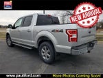 2019 F-150 Thumbnail 3