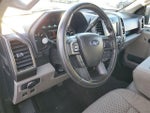 2019 F-150 Thumbnail 7