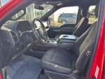 2019 F-150 Thumbnail 8