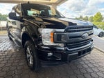 2019 F-150 Thumbnail 4