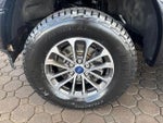 2019 F-150 Thumbnail 11